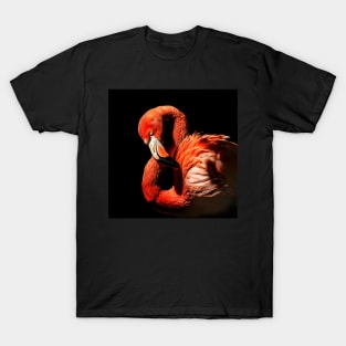 Flamingo Portrait T-Shirt